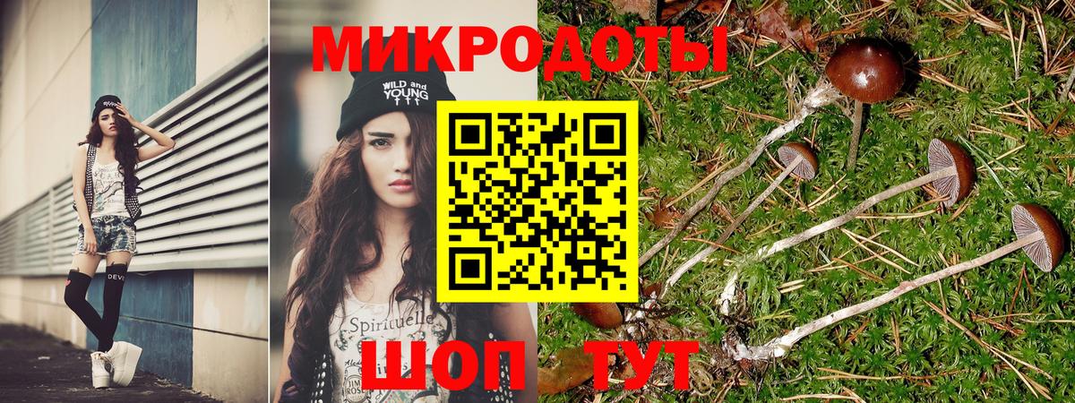 Псилоцибиновые грибы мухоморы Заинск