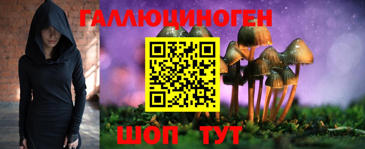 Заинск  Галлюциногенные грибы GOLDEN TEACHER  Вход с VPN 